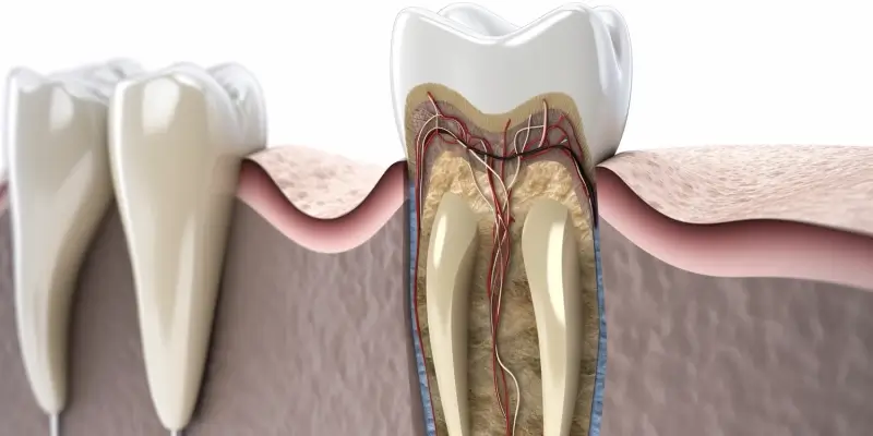 Endodoncja Szczecin
